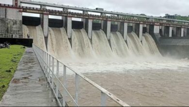 Betul News: उफान पर है तवा नदी, बाढ़ ने रोका 32 गांवों का रास्ता, सतपुड़ा डेम से रात भर छोड़ा 12 हजार क्यूसेक पानी, 24 घंटे में रिकार्ड हुई 43 मिलीमीटर बारिश