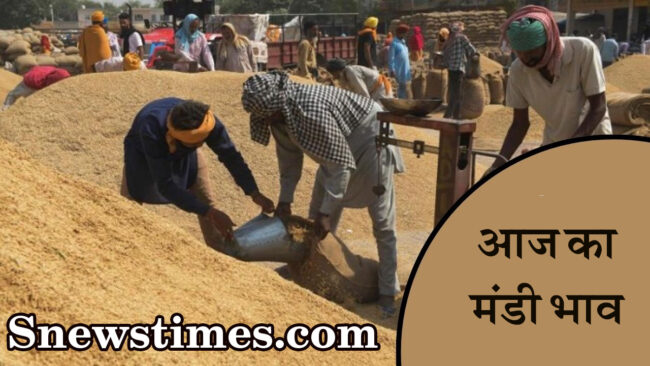 Aaj ka Mandi Bhav : देखें आज 7 मार्च, 2024 का बैतूल मंडी भाव