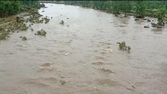 Betul News: उफान पर है तवा नदी, बाढ़ ने रोका 32 गांवों का रास्ता, सतपुड़ा डेम से रात भर छोड़ा 12 हजार क्यूसेक पानी, 24 घंटे में रिकार्ड हुई 43 मिलीमीटर बारिश