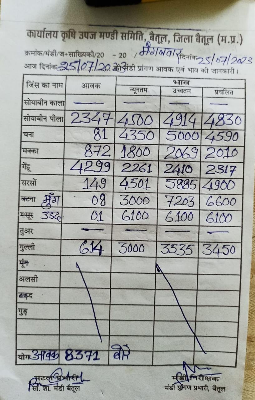 Aaj ka Mandi Bhav: देखें आज 25 जुलाई 2023 का बैतूल मंडी भाव