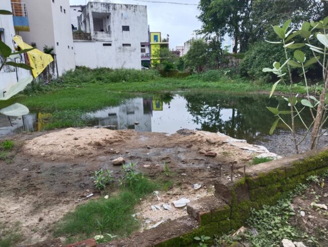 Betul Samachar : खाली प्लाटों में भरा बारिश का पानी, बीमारी का डर, एक तरफ शहर को नंबर-1 बनाने का प्रयास, तो दूसरी ओर सफाई को लेकर तमाम दावे खोखले