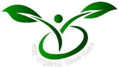 Betul Kisan News : 278 रुपए की खाद, किसानों को देने पड़ रहे 500 रुपए