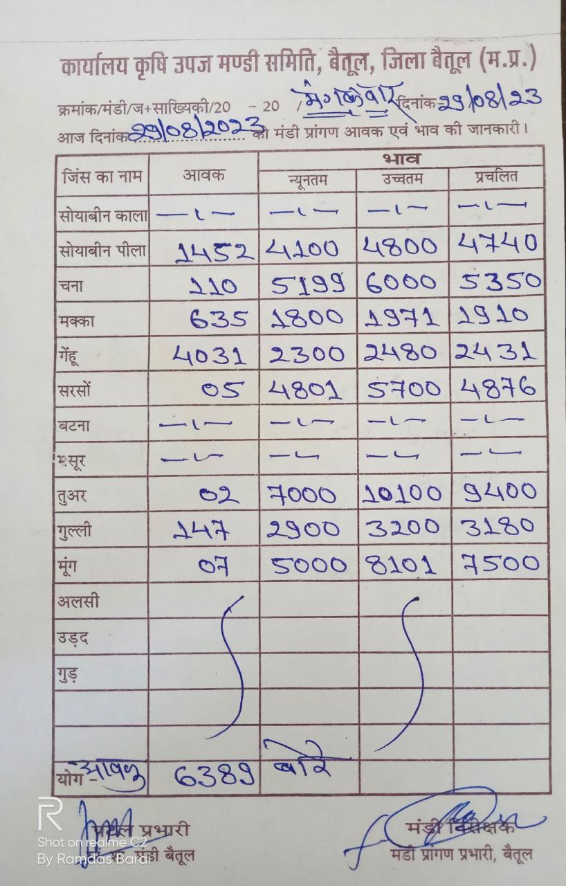 Aaj ka Mandi Bhav : देखें आज 29 अगस्‍त 2023 का बैतूल मंडी भाव