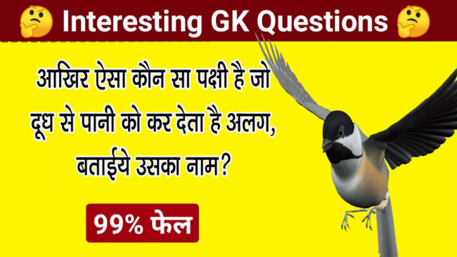 GK Quiz: आखिर ऐसा कौन सा पक्षी है जो दूध से पानी को कर देता है अलग, बताईये उसका नाम?