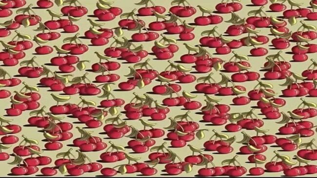 Optical Illusion : अगर खुद को समझते हैं जीनियस तो सिर्फ 4 सेकंड में चैरी के बीच में छिपे टमाटर को ढूंढ निकालिए?