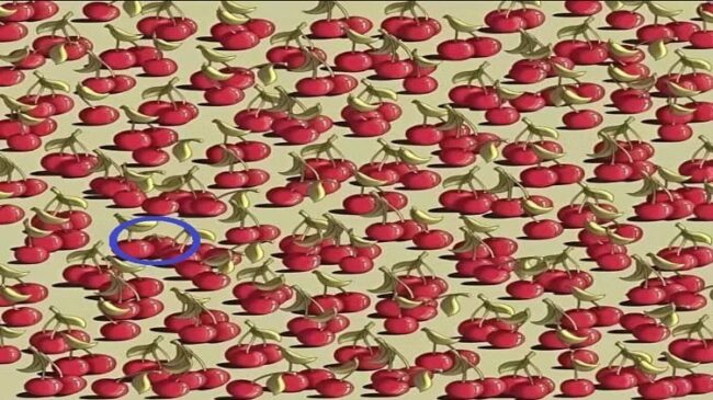Optical Illusion : अगर खुद को समझते हैं जीनियस तो सिर्फ 4 सेकंड में चैरी के बीच में छिपे टमाटर को ढूंढ निकालिए?