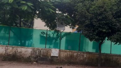 Betul News : कबाड़ कांड उजागर होने के बाद कोतवाली को हरी मेट से ढका