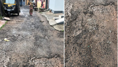 Betul News: 33 इंच बारिश ने उधेड़ दी सड़कों की बखिया, मुख्य सड़कों के साथ शहर की अंदरूनी सड़कों ने भी तोड़ा दम