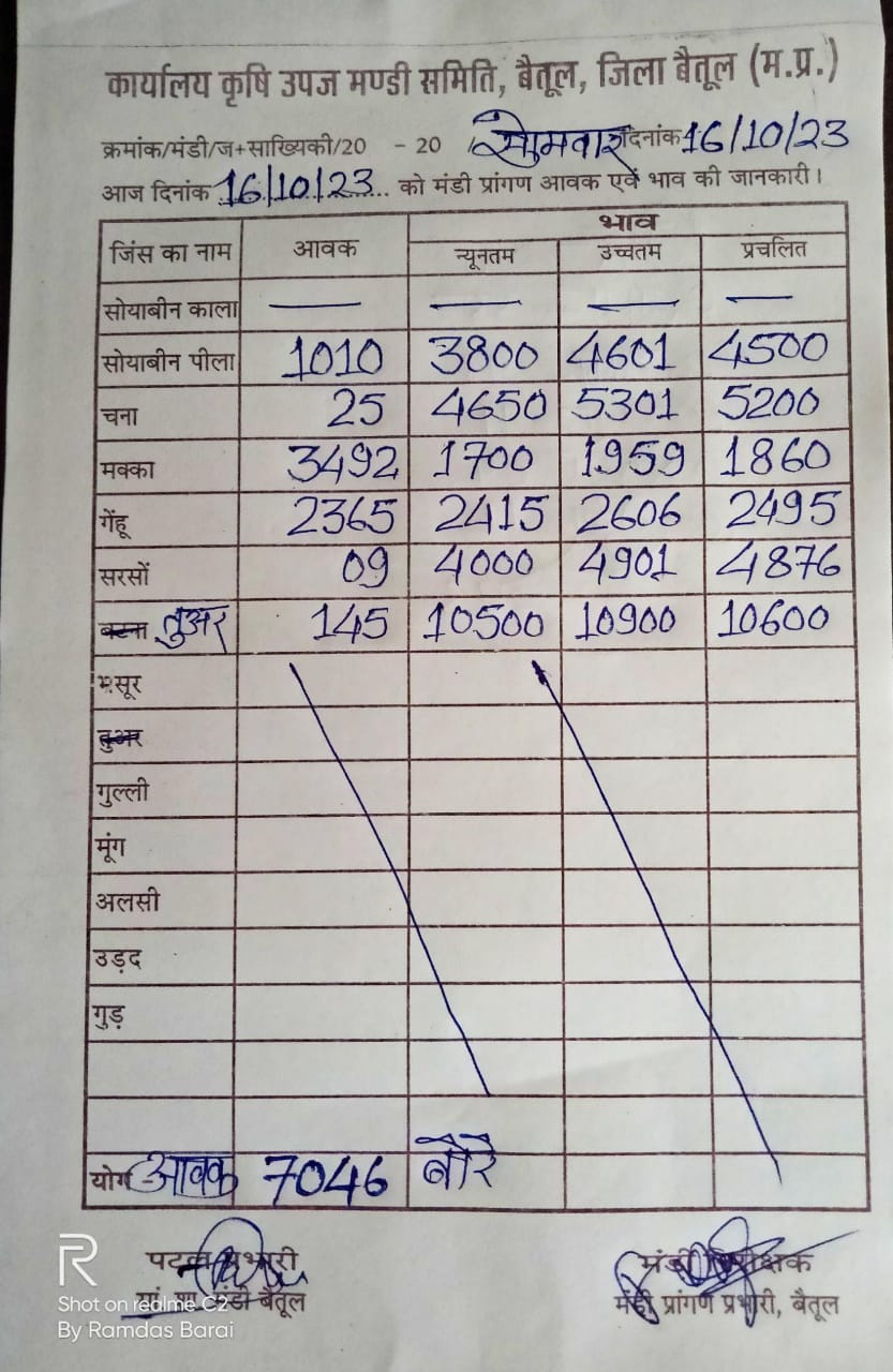 Aaj ka Mandi Bhav : देखें आज 16 अक्टूबर 2023 का बैतूल मंडी भाव