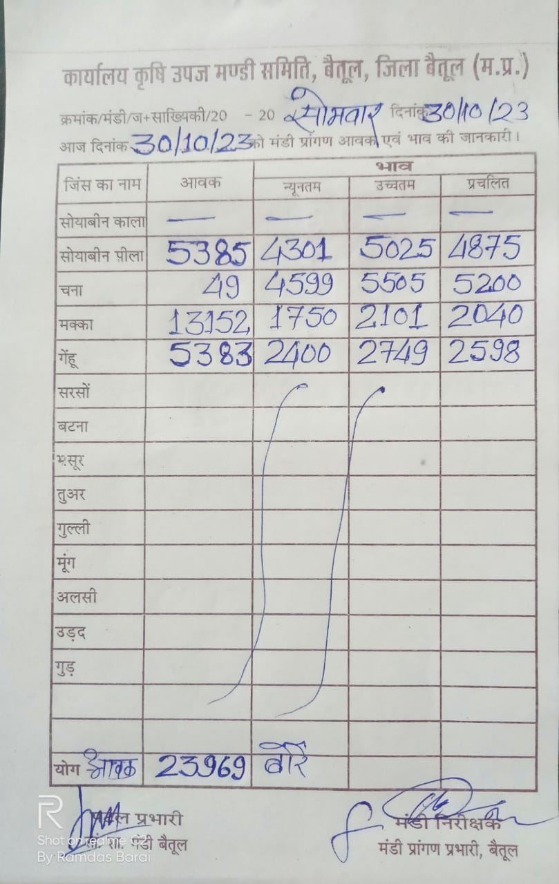 Aaj ka Mandi Bhav : देखें आज 30 अक्टूबर 2023 का बैतूल मंडी भाव