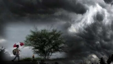 Betul Weather News : जिले से मानसून की विदाई, अब जल्द आएंगे ठंड के दिन, देरी से आया था मानसून और देरी से गया