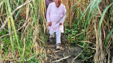 Betul BJP News : गन्ना बाड़ी के बीच से आदिवासियो से मिलने पहुंचे हेमंत खण्डेलवाल, ग्रामीण बोले हमारा आशीर्वाद है