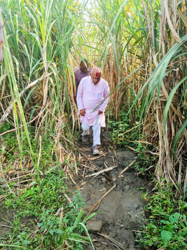 Betul BJP News : गन्ना बाड़ी के बीच से आदिवासियो से मिलने पहुंचे हेमंत खण्डेलवाल, ग्रामीण बोले हमारा आशीर्वाद है