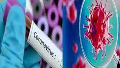 Betul News : कोरोना के नए वेरियंट को लेकर स्वास्थ्य महकम अलर्ट