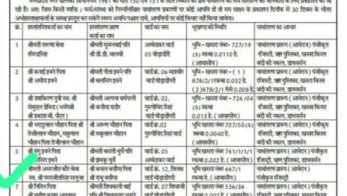 Betul News : फर्जी एनओसी पर हो गई रजिस्ट्री, सीएमओ ने उसी पर शुरू की नामांतरण की कार्रवाई