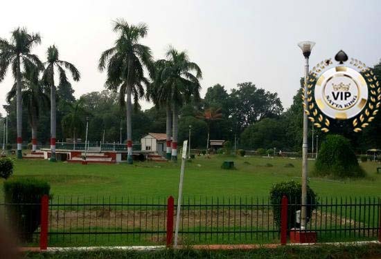 Betul News : कंपनी गार्डन से संचालित हो रहा पूरे शहर में सट्टे का कारोबार