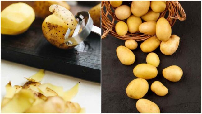 Potato Peel Benefits : आलू ही नहीं उसके छिलके में भी होते है कमाल के औषधीय गुण, जानें फायदे