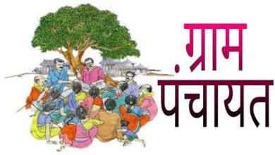 Betul Hindi Samachar: सरपंच, सचिव पर की गई कार्यवाही वेबसाइट पर डालने से परहेज