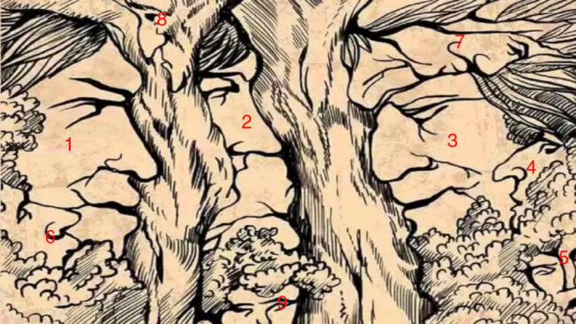 Optical Illusion : इस तस्वीर में छिपे है 9 चेहरे, अगर है तेज दिमाग तो 5 सेकेंड में ढूंढ कर दिखाए