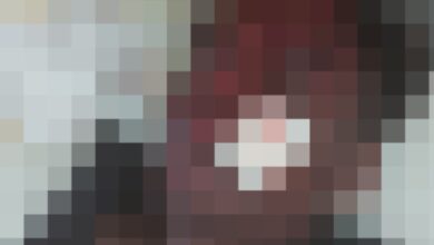 Betul Crime: पूर्व भाजपा जिला अध्यक्ष के आवास के सामने युवक पर चाकुओं से ताबड़ातोड़ वार