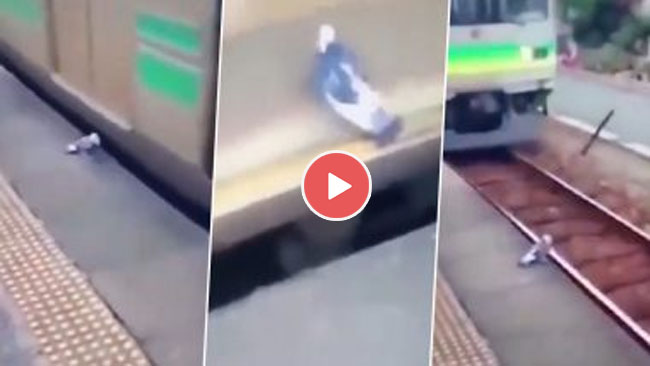 Bird Viral Video: उड़ने का मन नहीं किया तो ट्रेन में सफर करने सवार हुआ पक्षी, देखें मनामोहक वीडियो...