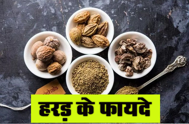 Harad ke Fayde: रोजाना हरड़ का सेवन सेहत के लिए है वरदान, जानें इसके चमत्कारी फायदे
