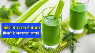 Celery Juice Benefits: सेलेरी जूस पीने से सेहत को मिलते है जबरदस्‍त फायदे, इम्‍युनिटी बढ़ेगी और बीमरीयां होगी दूर