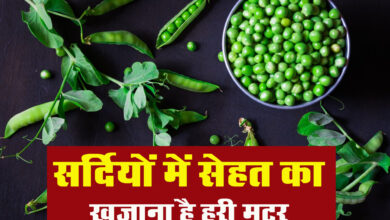 Green Peas Benefits: सर्दियों में सेहत का खजाना है हरी मटर, मिलते हैं गजब के फायदे