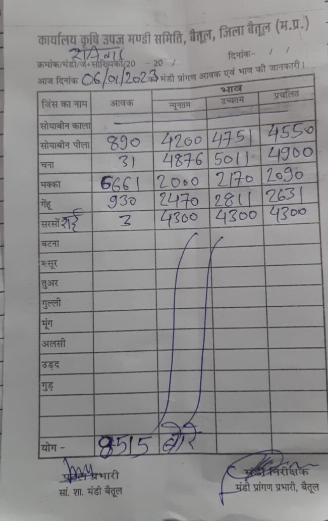 Aaj ka Mandi Bhav : देखें आज 6 जनवरी, 2024 का बैतूल मंडी भाव