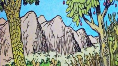 Optical Illusion : तस्‍वीर में छिपे है 6 जानवर हो जिनियस तो 7 सेकेंड में ढूंढकर बताए, करें चैलेंज पूरा  