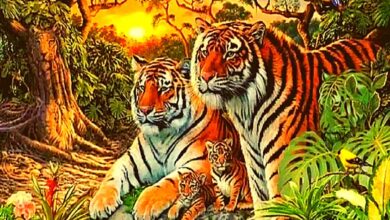Optical Illusion : खुद को समझते है जिनियस तो दिमाग के घोड़े दौड़ाओ और 7 सेकंड में ढूंढ कर दिखाए  16 बाघ