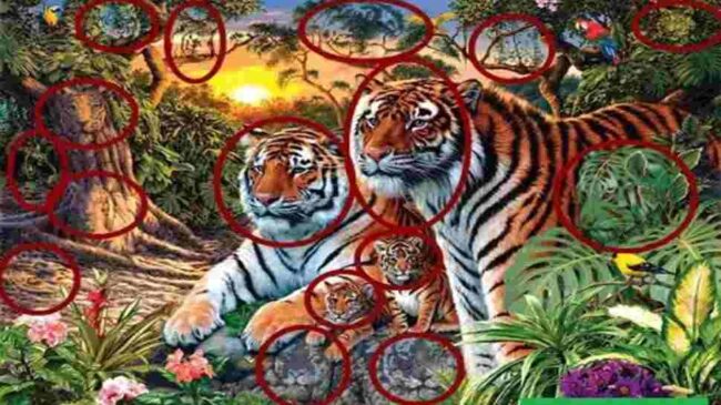Optical Illusion : खुद को समझते है जिनियस तो दिमाग के घोड़े दौड़ाओ और 7 सेकंड में ढूंढ कर दिखाए 16 बाघ