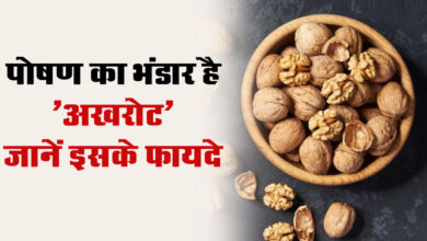 Walnut Benefits : पोषण का भंडार है अखरोट, रोज मुट्ठी भर खाएं और बीमारियों को दे झटका, जानें इसके फायदे...