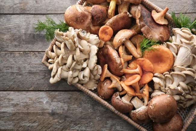 Mushroom Benefits: पोषक तत्‍वों का भंडार है मशरूम, अपनी डाइट में करें शामिल, जानें फायदे