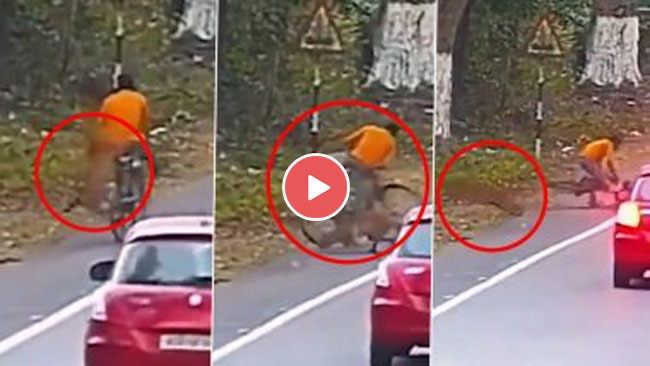 Leopard Viral Video: अचानक झाड़ियों से निकले तेंदुुए ने शख्स पर किया हमला, आगे जो हुआ उसे देख हैैरान हो गए लोग...