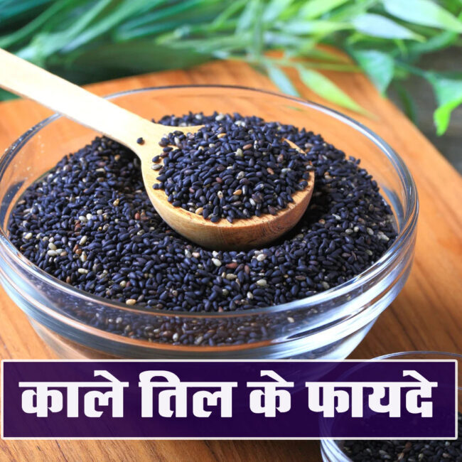 Sesame Seeds Health Tips: अगर आप भी ओवर वेट से है परेशान तो काले तिल को डाइट में करें शामिल, मिलेगे कई गजब के फायदे
