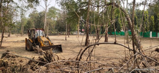 Betul Samachar: कलेक्टर बंगले में आधा सैकड़ा पेड़ों की कटाई, नगरपालिका से भी नहीं ली गई पेड़ों को काटने की अनुमति, मशीनों से काट दिए पेड़