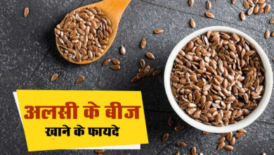 Flaxseed Health Benefits: अलसी के बीज के जबरदस्त फायदे, कब्ज की समस्या को झट से करे दूर, रोजाना सेवन करने से मिलेंगे गजब के फायदे