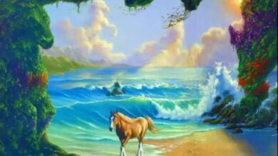 Optical Illusion: आपको इस तस्‍वीर में कितने घोडे नजर आए, 99% लोग जवाब देनें में रहे असफल