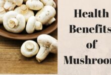 Mushroom Benefits: पोषक तत्वों का भंडार है मशरूम, अपनी डाइट में करें शामिल, जानें फायदे