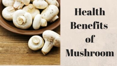 Mushroom Benefits: पोषक तत्वों का भंडार है मशरूम, अपनी डाइट में करें शामिल, जानें फायदे