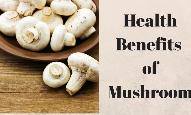 Mushroom Benefits: पोषक तत्वों का भंडार है मशरूम, अपनी डाइट में करें शामिल, जानें फायदे