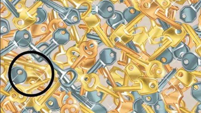 Optical Illusion : आप भी खुद को समझते है जिनियस तो 15 सेकेंड में तस्‍वीर छिपी घंटी को ढूंढ़ कर इस चैलेंज को करें पूरा