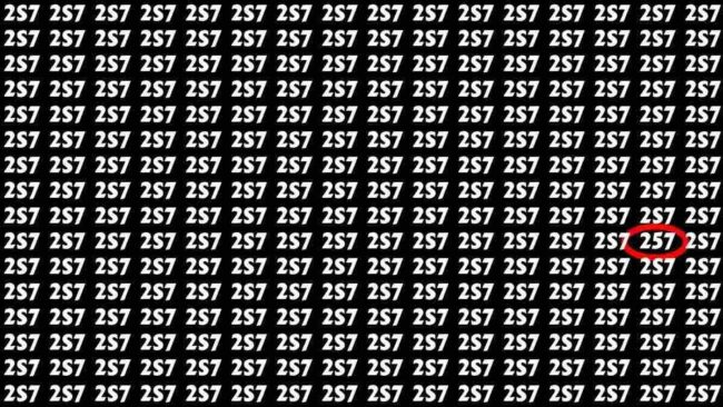 Optical Illusion : आपकी भी है चील सी निगाहे तो 7 सेकेंड में तस्वीर में 257 को ढूंढ कर बताए, चैलेंज करें पुरा...
