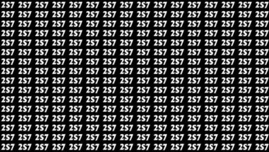 Optical Illusion : आपकी भी है चील सी निगाहे तो 7 सेकेंड में तस्‍वीर में 257 को ढूंढ कर बताए, चैलेंज करें पुरा...