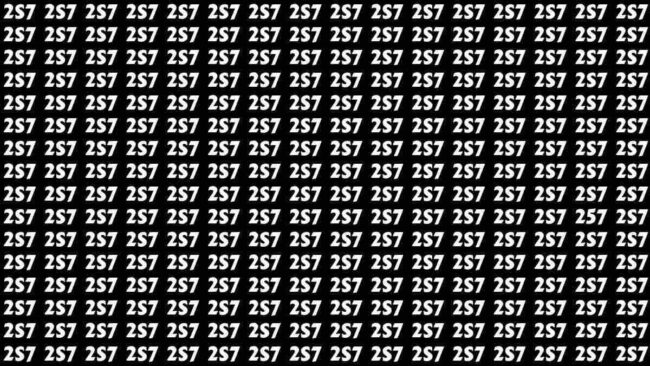 Optical Illusion : आपकी भी है चील सी निगाहे तो 7 सेकेंड में तस्वीर में 257 को ढूंढ कर बताए, चैलेंज करें पुरा...