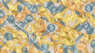 Optical Illusion : आप भी खुद को समझते है जिनियस तो 15 सेकेंड में तस्‍वीर छिपी घंटी को ढूंढ़ कर इस चैलेंज को करें पूरा