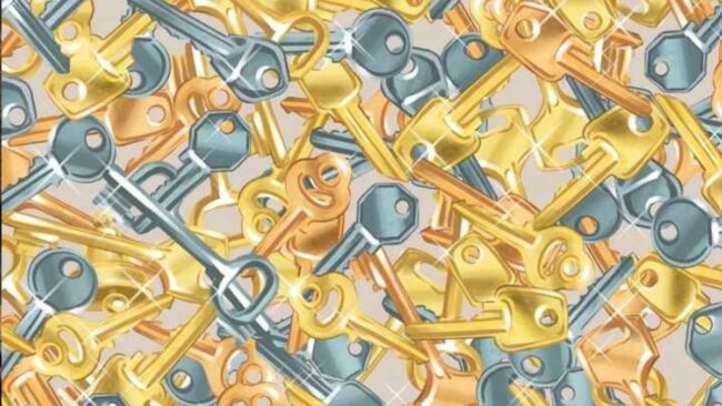 Optical Illusion : आप भी खुद को समझते है जिनियस तो 15 सेकेंड में तस्‍वीर छिपी घंटी को ढूंढ़ कर इस चैलेंज को करें पूरा