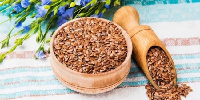 Flaxseed Health Benefits: अलसी के बीज के जबरदस्त फायदे, कब्ज की समस्या को झट से करे दूर, रोजाना सेवन करने से मिलेंगे गजब के फायदे