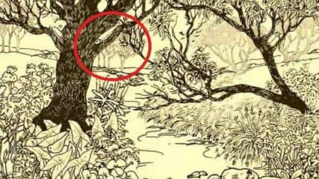 Optical Illusion : आप भी खुद को मानते हैं जीनियस तो 5 सेकेंड में तस्‍वीर में छिपी ढूंढकर करें चैलेंज पुरा